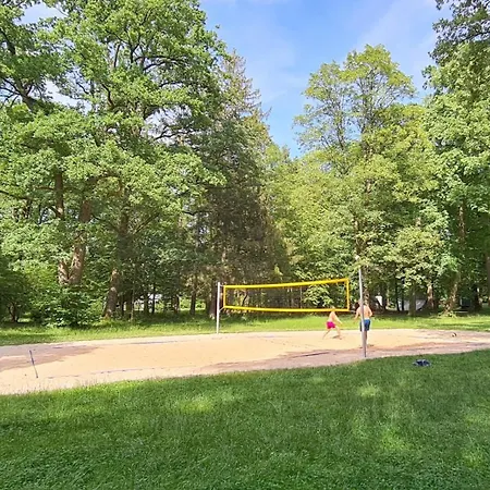 Amazing, Spacious In Excellent Location